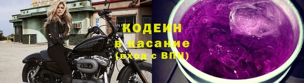 apvp Дмитриев