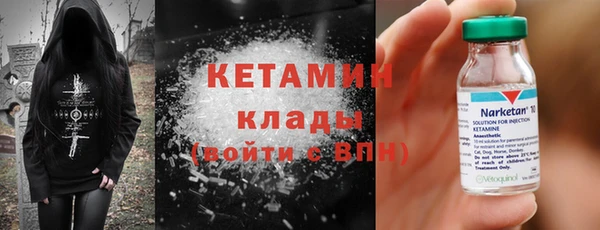 apvp Дмитриев