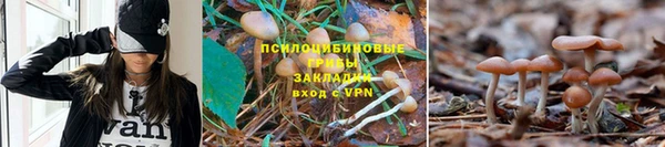 прущая мука Братск