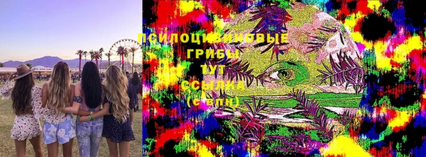 apvp Дмитриев