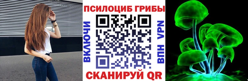 Псилоцибиновые грибы Psilocybine cubensis  Железноводск 