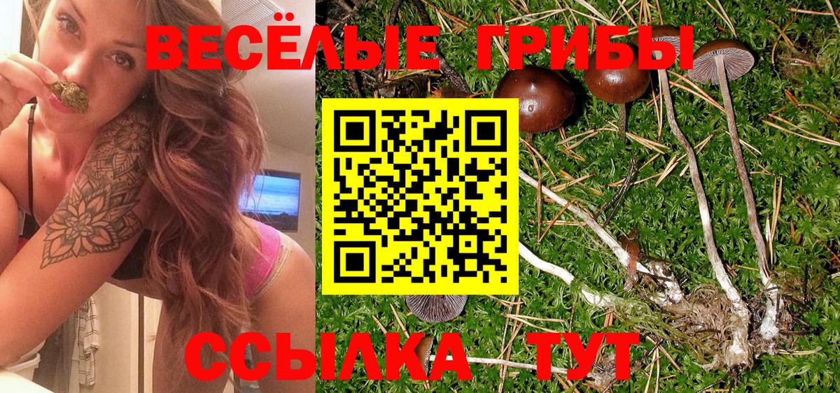 Псилоцибиновые грибы MAGIC MUSHROOMS  Вход с VPN  Железноводск  Псилоцибиновые грибы Cubensis 