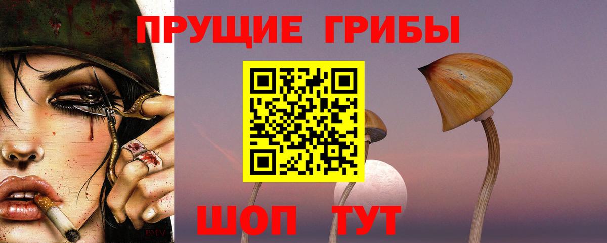 Галлюциногенные грибы GOLDEN TEACHER Железноводск